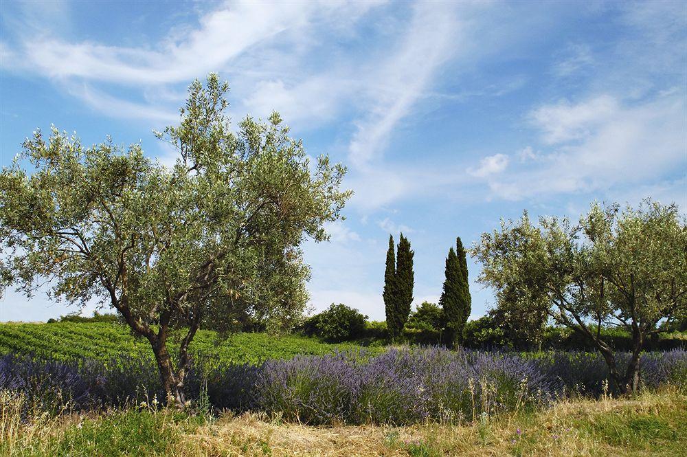 Les Jardins De Hotel 3*