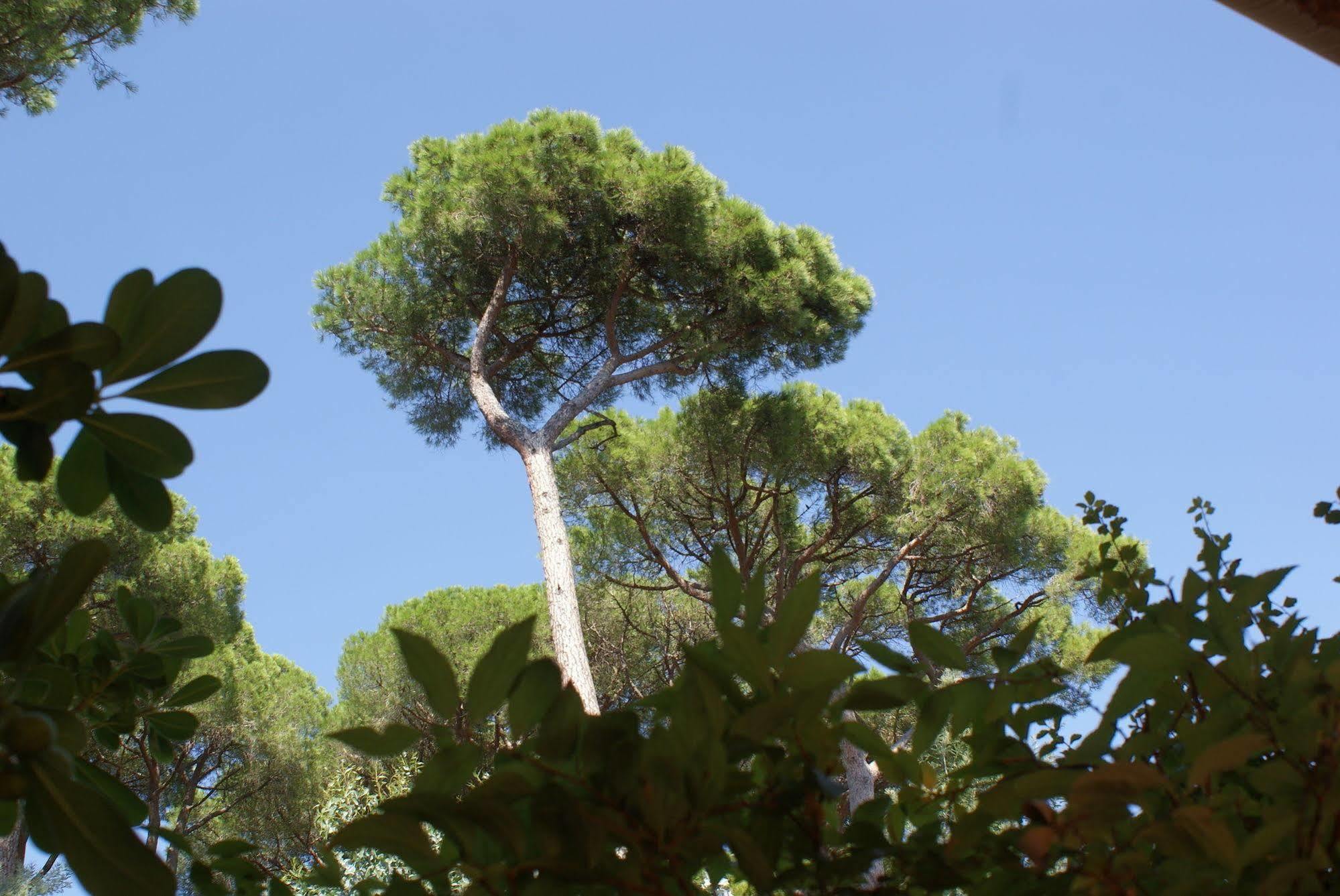Hotel Les Jardins De Sainte-Maxime